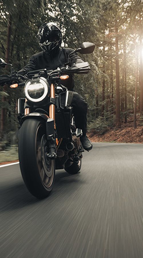 Die verlässliche Basis