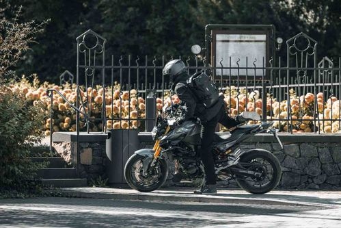 product item large slide