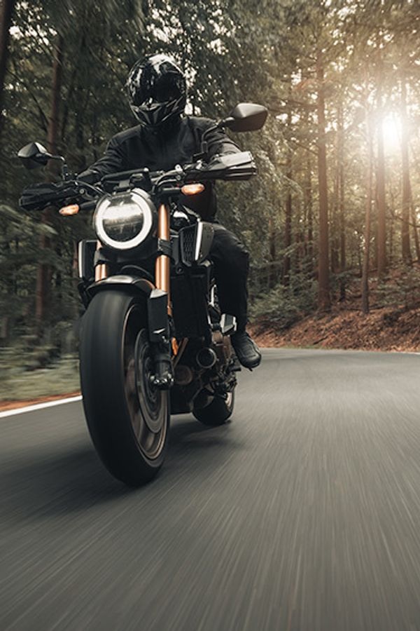 Die verlässliche Basis